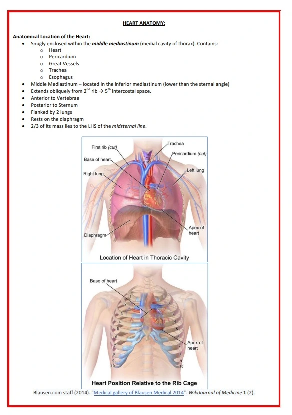 Cardiovascular-Notes-1