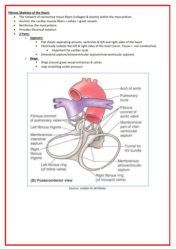 Cardiovascular-Notes-1