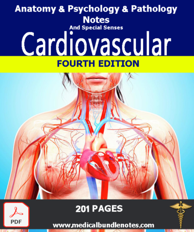 Cardiovascular Notes medical bundle notes