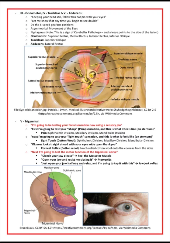 Clinical Skills & Examinations