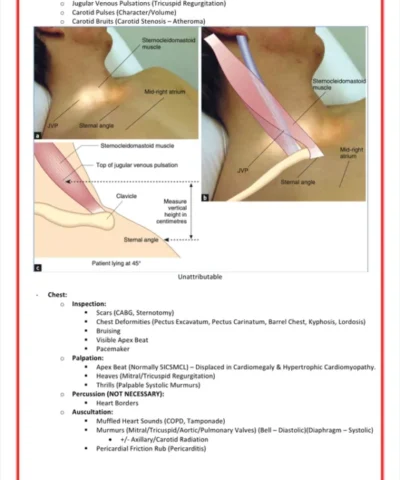 Clinical Skills & Examinations