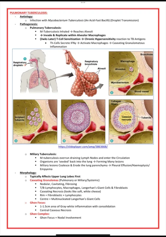 Public Health & Microbiology