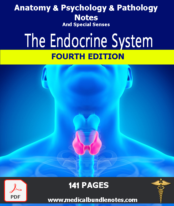 The Endocrine System