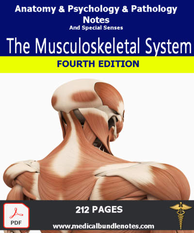 The Musculoskeletal System