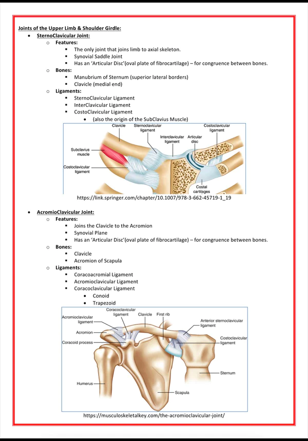 The Musculoskeletal System Medical bundle notes