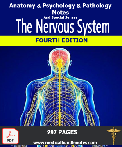 The-Nervous-System