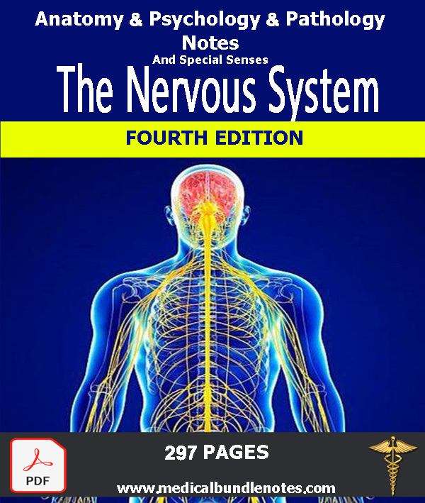 The-Nervous-System