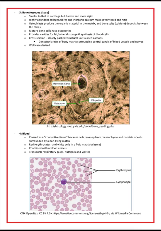 cellular biology biochemistry medicalbundlenotes