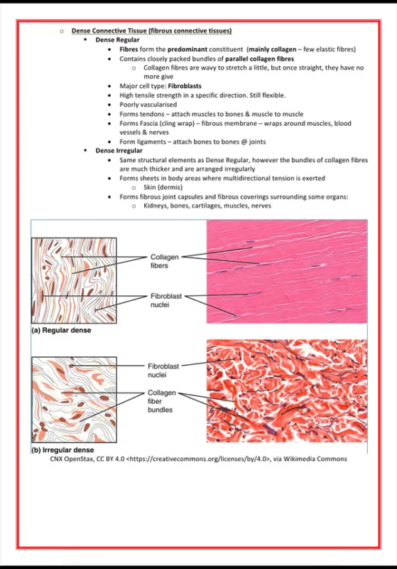 cellular biology biochemistry medicalbundlenotes