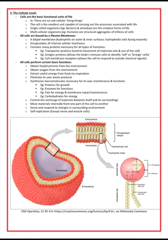 cellular biology biochemistry medicalbundlenotes