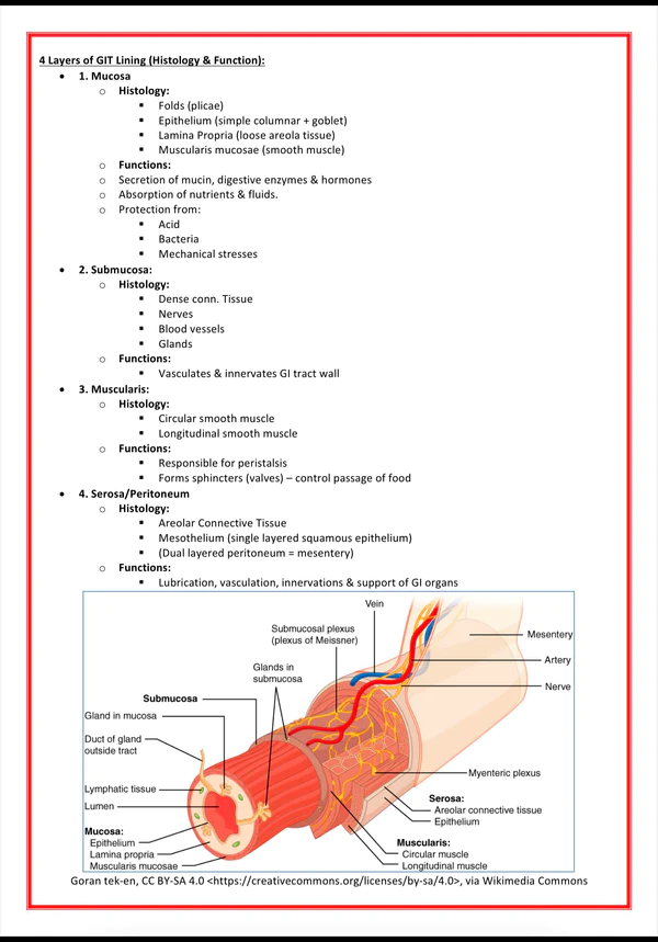 gastrointestinal-medicine-medstudentnotes-medicalbundlenotes (5)