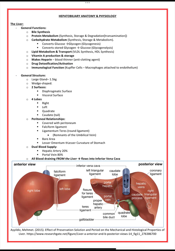 gastrointestinal-medicine-medstudentnotes-medicalbundlenotes (5)