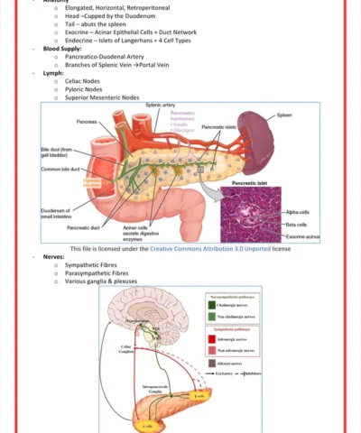 gastrointestinal-medicine-medstudentnotes-medicalbundlenotes (5)