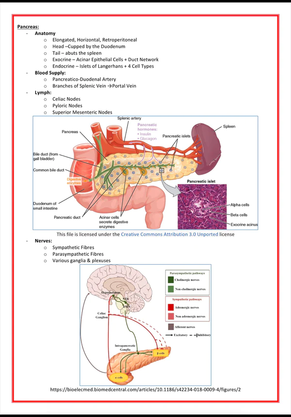 gastrointestinal-medicine-medstudentnotes-medicalbundlenotes (5)