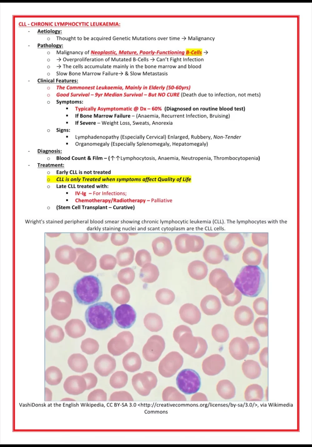 haematology notes