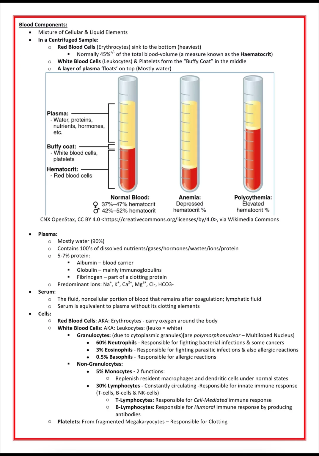 haematology notes