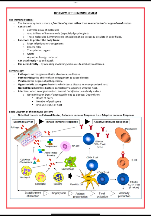 immunology-rheumatology- medicalbundlenotes