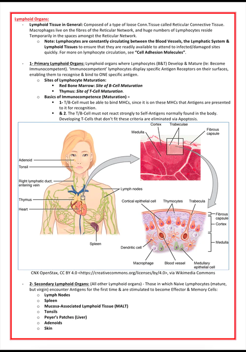 immunology-rheumatology- medicalbundlenotes