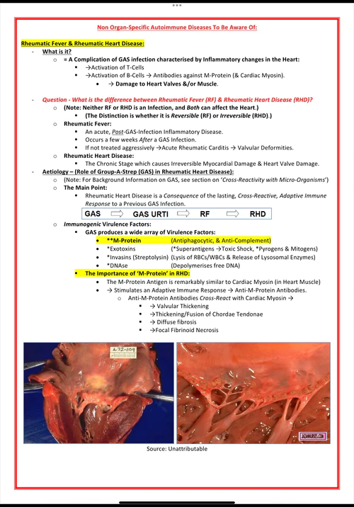 immunology-rheumatology- medicalbundlenotes