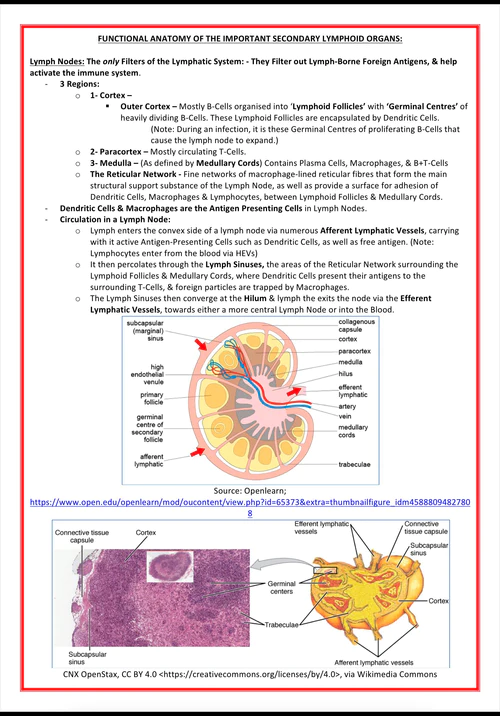 immunology-rheumatology- medicalbundlenotes