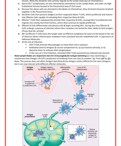 immunology-rheumatology- medicalbundlenotes