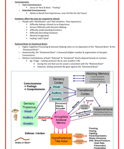 Mental Health & Psychiatry