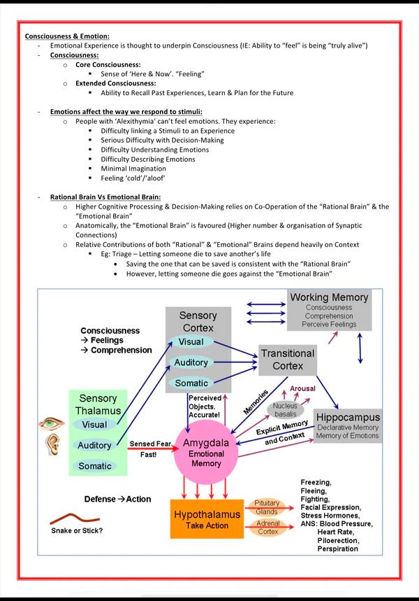 Mental Health & Psychiatry