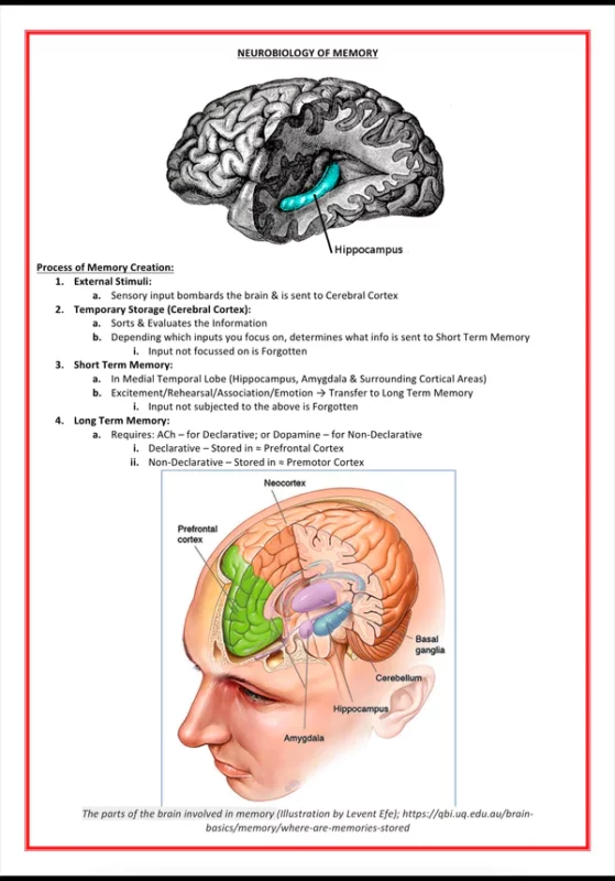 Mental Health & Psychiatry