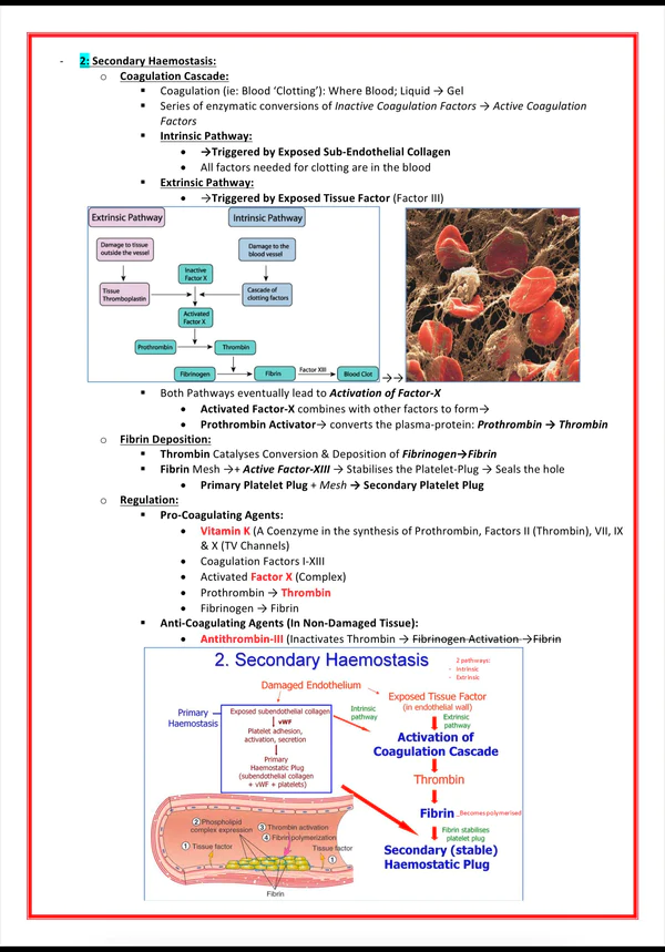 pharmacology & toxicology book pdf