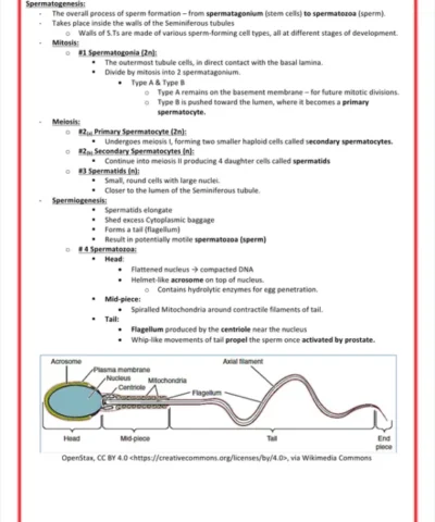 Sexual & Reproductive Health