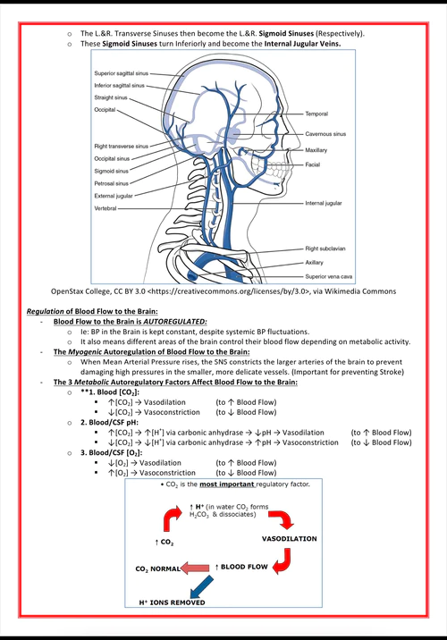 the-nervous-system