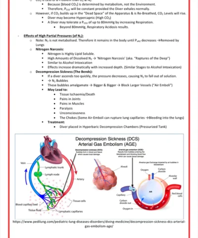 the respiratory system medical bundle notes