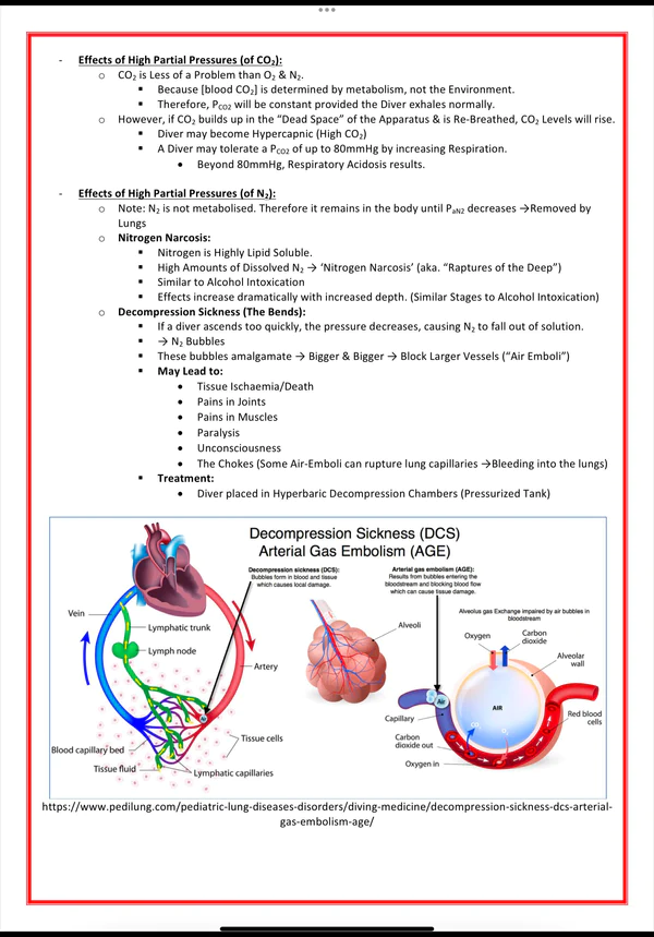 the respiratory system medical bundle notes