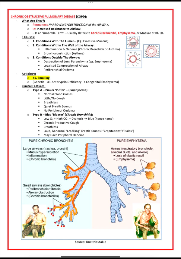 the respiratory system medical bundle notes