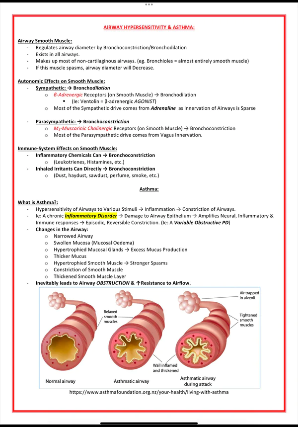 the respiratory system medical bundle notes