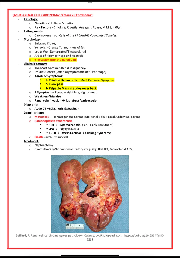 urinary-renal-system-medicalbundlenotes